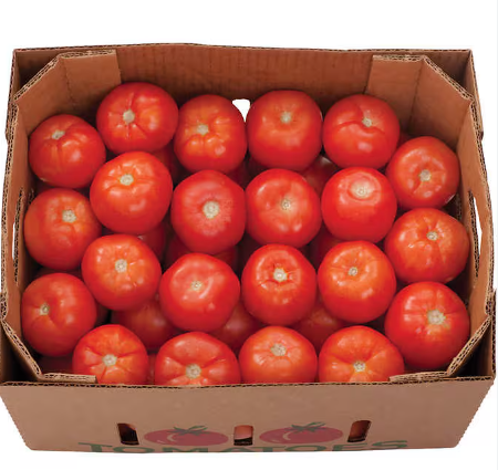 Tomatoes 4x4