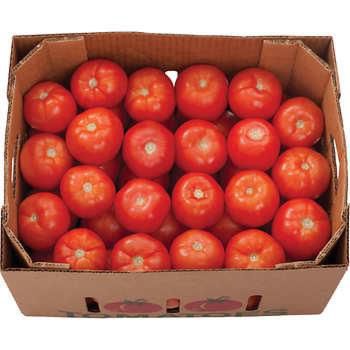 Tomatoes 6x6