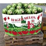 Watermelon #36 Bin