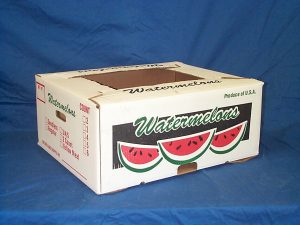 Watermelon  Case