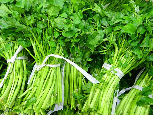 Watercress