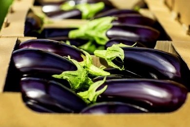 1/2 Case Eggplant Holland