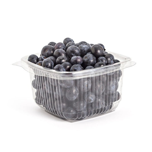 Blueberries Unit