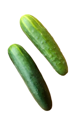 Cucumber Select