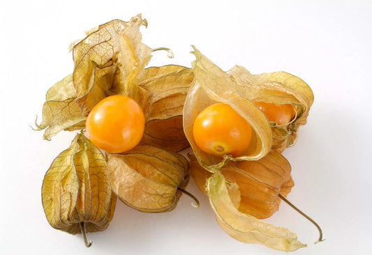 Gooseberry Cape