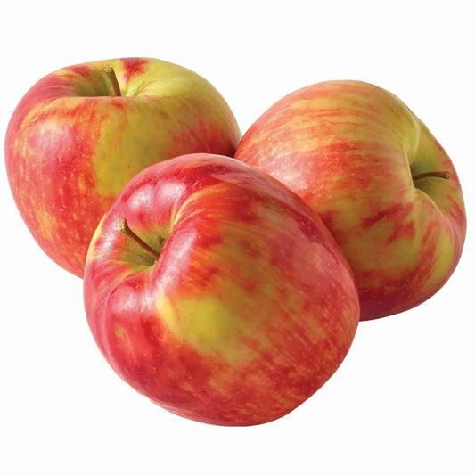 Apple Honeycrisp #80