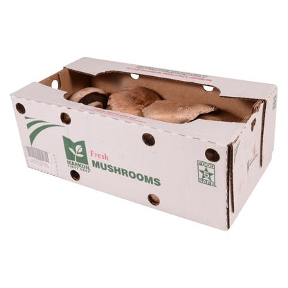 Mushroom Portobello Lg