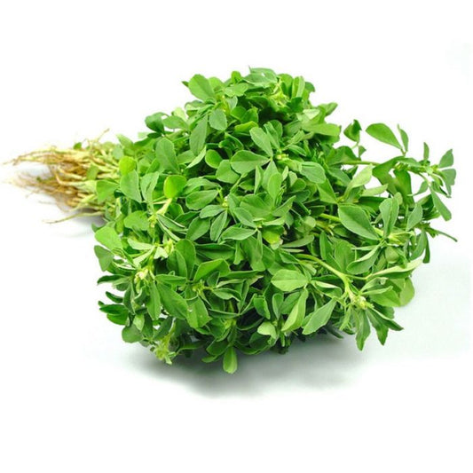 Alfalfa. Metti leaf