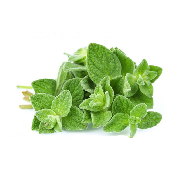 Oregano 1 Kilo