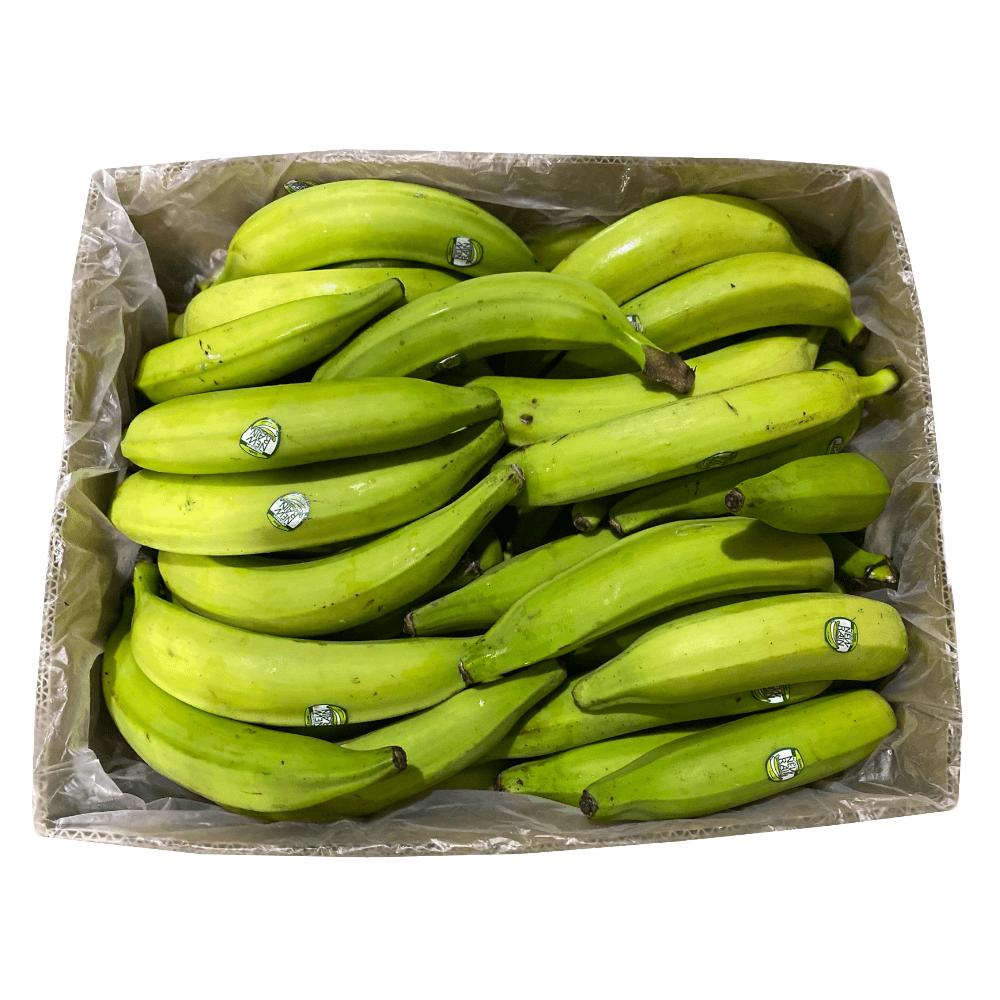 PLANTAIN GREEN