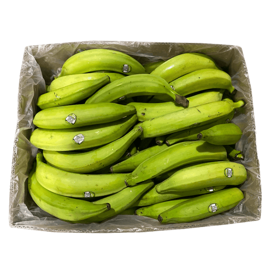 PLANTAIN GREEN