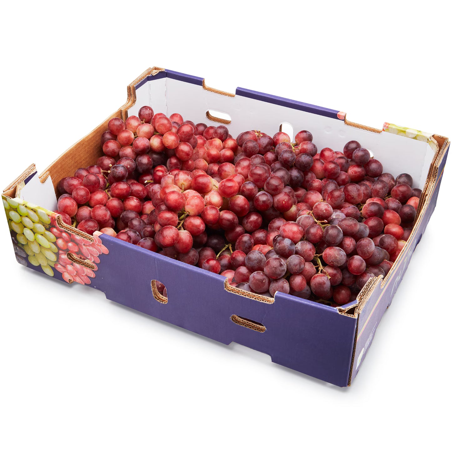 Grape Red Case