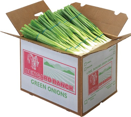 1/2 Case Scallions