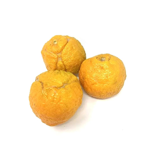 Orange Sour